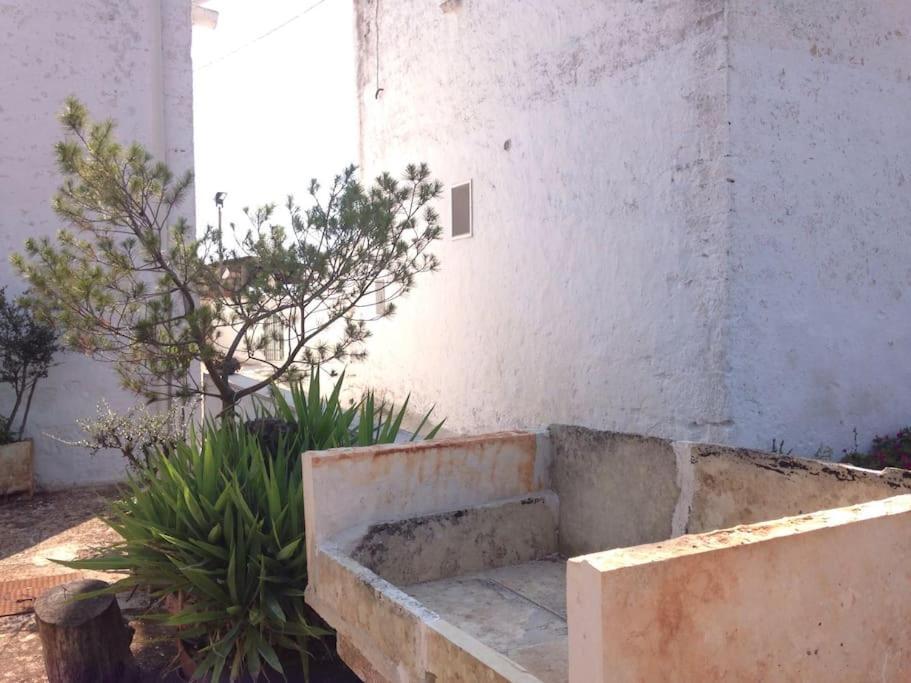 Villa Casa Stella Nell'Aia Cisternino Esterno foto